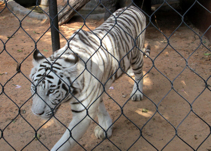 SS316L Animal Enclosure Mesh Corrosion Resistant With 1.5mm / 2.0mm Wire Diameter