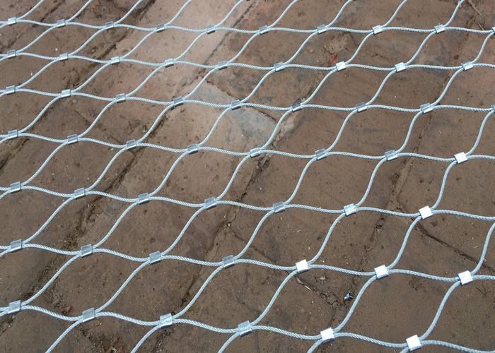 Yuntong SS 316 Wire Rope Plant Trellis System For Plants Climbing / Supports